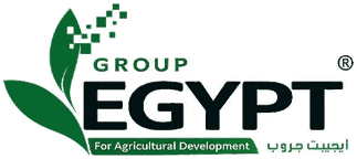 Egypt Group