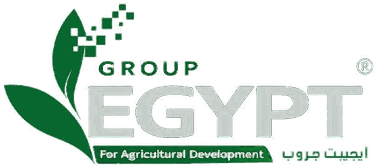 Egypt Group
