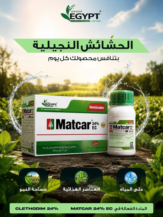 ماتكار لمكافحة الحشائش النجيلية